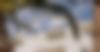 2500%20x%20lightroom%20-%20BDM_0000s_0009_5-Les%20Bulles%20de%20mer-8